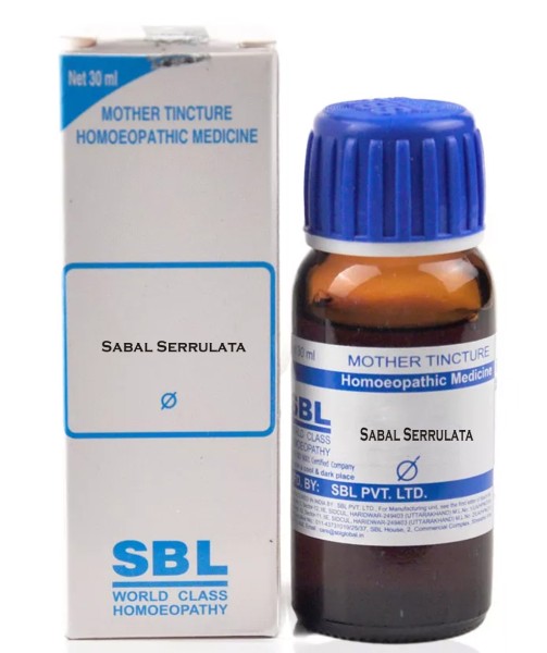 Sabal Serrulata (Saw Palmetto)